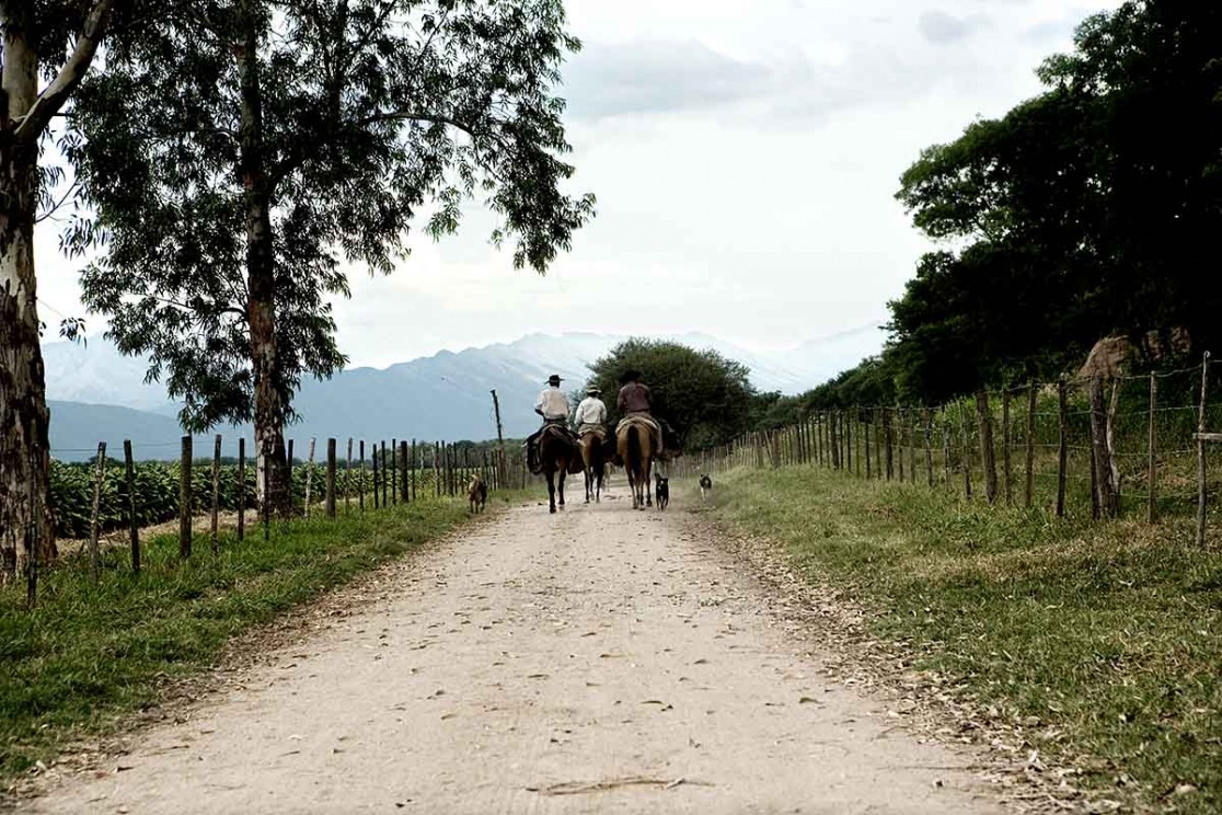 Reportage in Argentinien