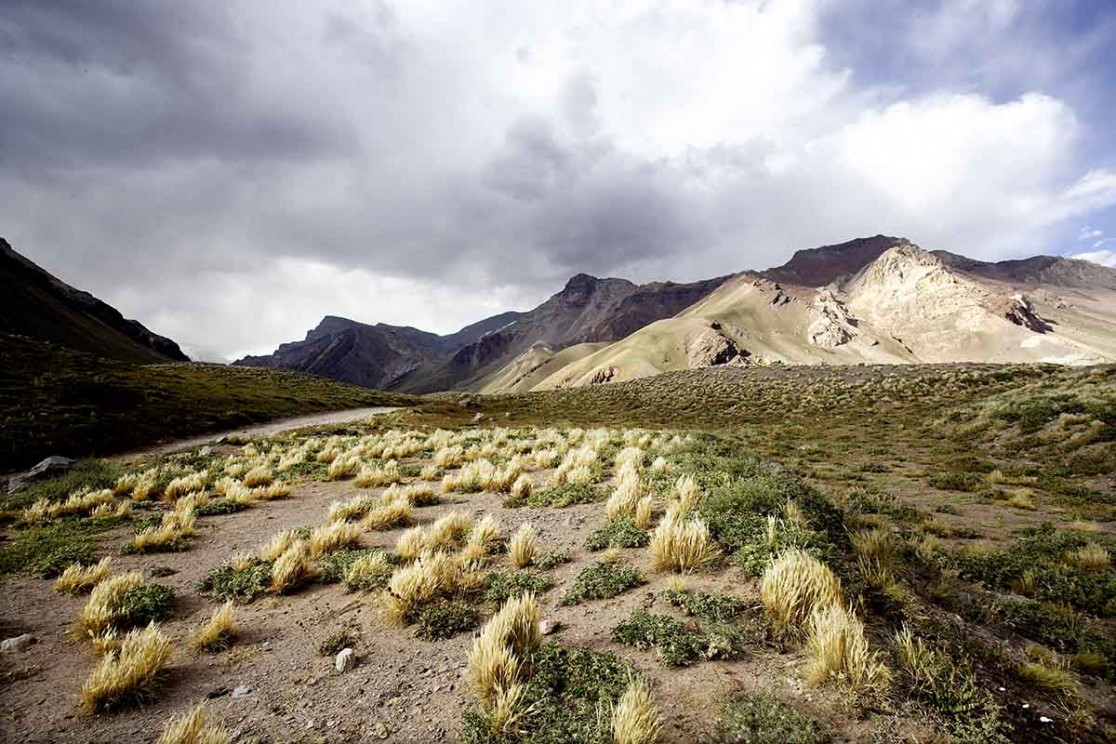 Reportage in Argentinien