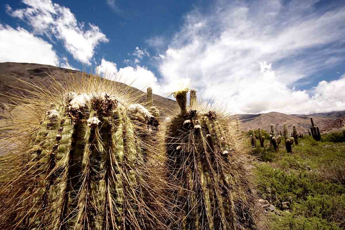 Reportage in Argentinien