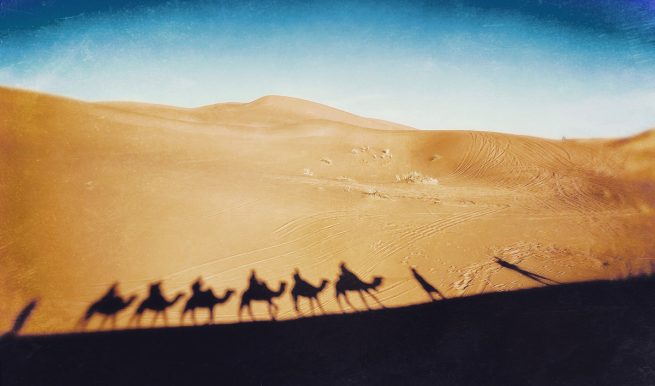 Wuestenwanderung mit Kamelen, Schattenaufnahme von Kamelen