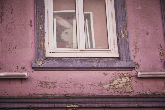 Bunny sitzt im Fenster