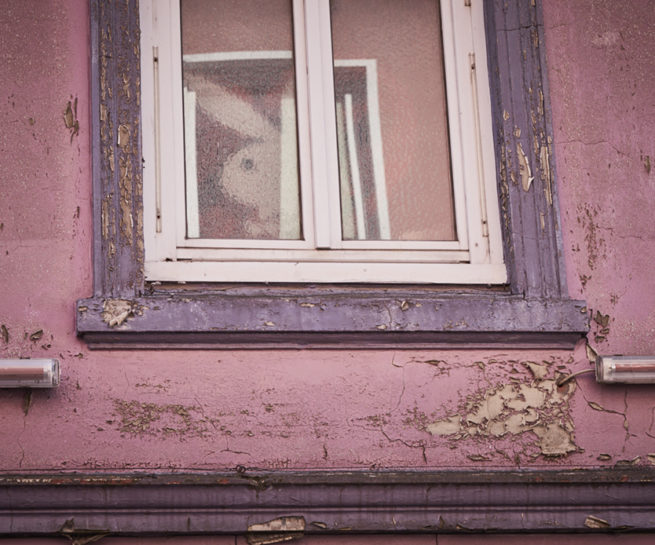Bunny sitzt im Fenster